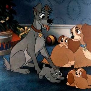 Bilder Hamilton Luske