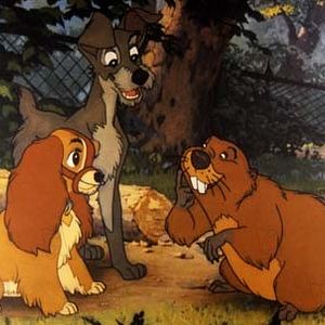 Bilder Hamilton Luske