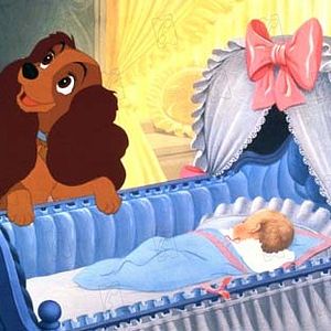 Bilder Susi und Strolch