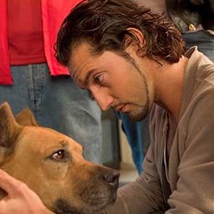 Bilder Malik Chibane