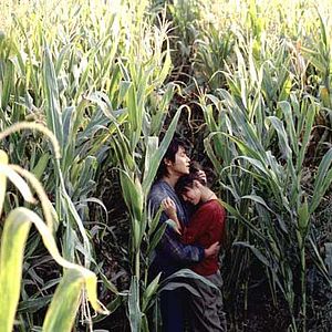 Bilder Sieben Schwerter