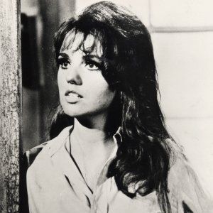 Bilder Suzanne Pleshette