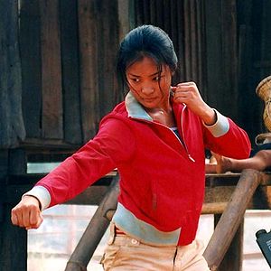 Bilder Born to Fight