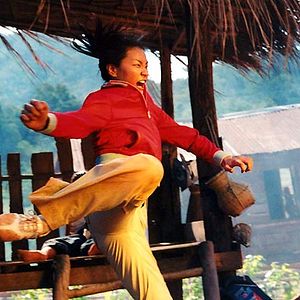 Bilder Born to Fight