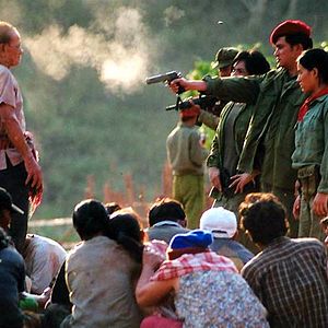 Bilder Born to Fight