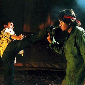 Bilder Born to Fight