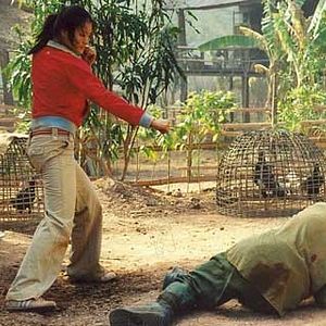 Bilder Born to Fight