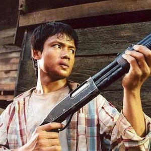 Bilder Born to Fight