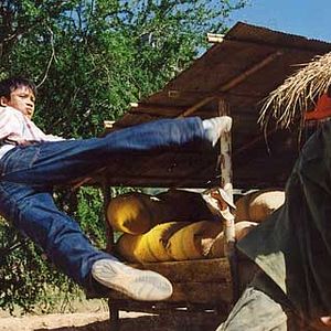 Bilder Born to Fight