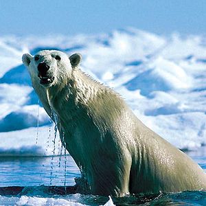 Bilder Thierry Piantanida