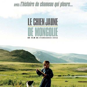 Bilder Die Höhle des gelben Hundes