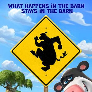 Bilder Steve Oedekerk