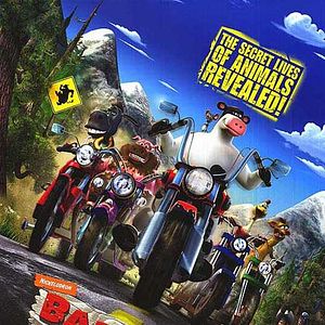 Bilder Steve Oedekerk