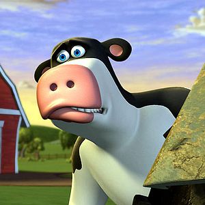 Bilder Steve Oedekerk