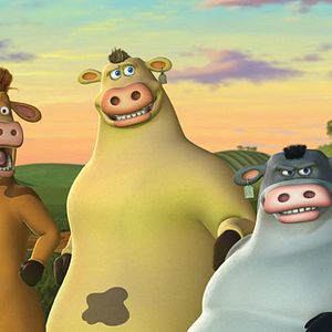 Bilder Steve Oedekerk