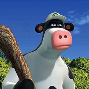 Bilder Steve Oedekerk