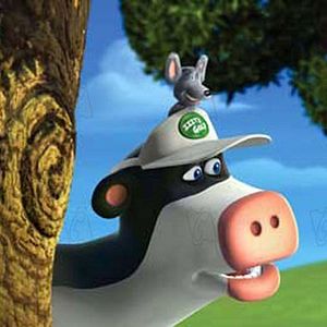 Bilder Steve Oedekerk