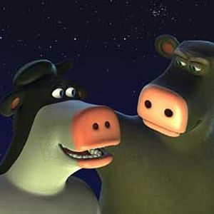 Bilder Steve Oedekerk