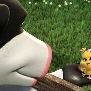 Bilder Steve Oedekerk