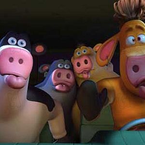 Bilder Steve Oedekerk