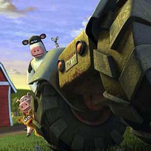 Bilder Steve Oedekerk