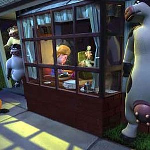 Bilder Steve Oedekerk