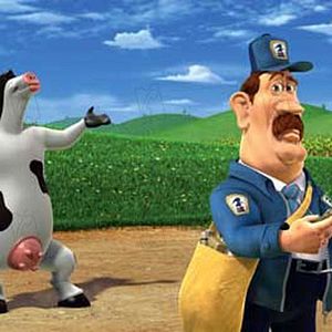 Bilder Steve Oedekerk