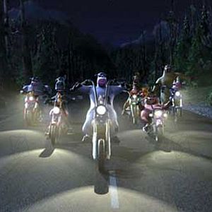 Bilder Steve Oedekerk