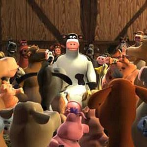 Bilder Steve Oedekerk