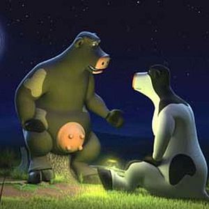 Bilder Steve Oedekerk