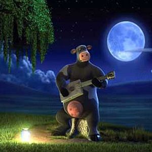 Bilder Steve Oedekerk