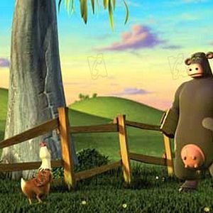 Bilder Steve Oedekerk