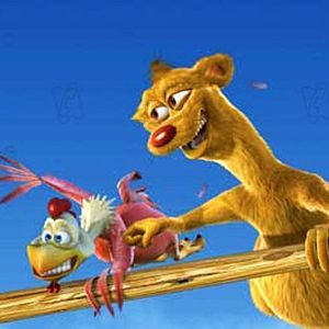 Bilder Steve Oedekerk