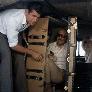 Bilder Der Koffer in der Sonne