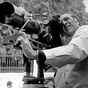 Bilder Der Koffer in der Sonne