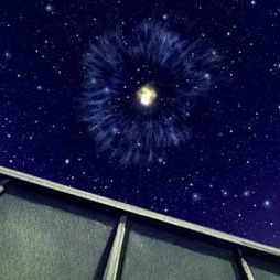 Bilder Piet De Rycker