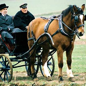 Bilder Les Ames grises