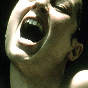 Bilder Nico Papatakis