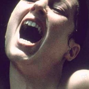 Bilder Nico Papatakis