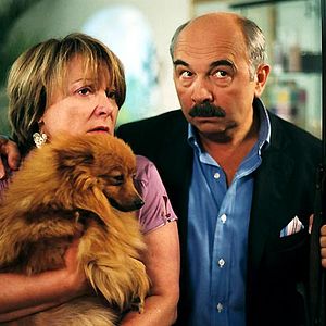 Bilder Die Strandflitzer 3