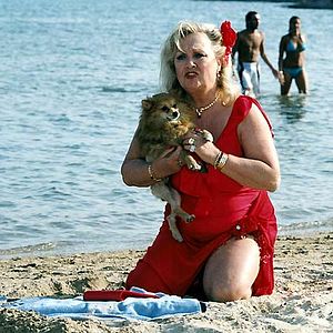 Bilder Die Strandflitzer 3