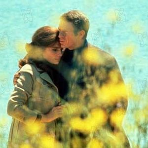 Bilder Steve McQueen