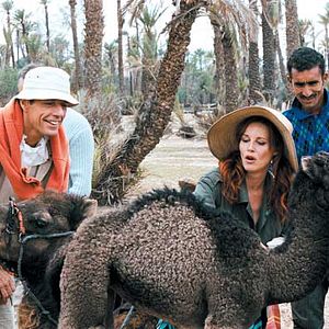 Bilder L'Anniversaire