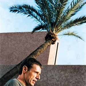 Bilder L'Anniversaire