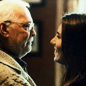 Bilder Eine Schwalbe macht den Sommer