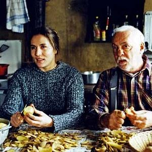 Bilder Eine Schwalbe macht den Sommer