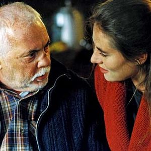 Bilder Eine Schwalbe macht den Sommer