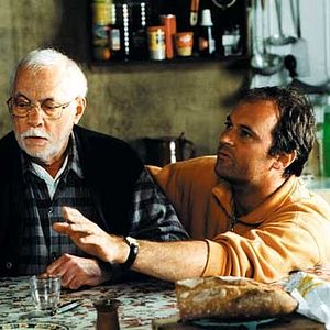 Bilder Eine Schwalbe macht den Sommer