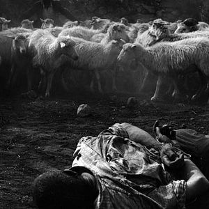 Bilder Die Banditen von Orgosolo