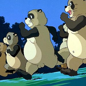 Bilder Pom Poko